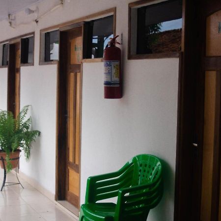 Helecho'S Hostal Pansiyon Encarnación Dış mekan fotoğraf