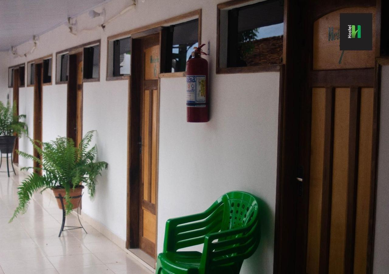 Helecho'S Hostal Pansiyon Encarnación Dış mekan fotoğraf