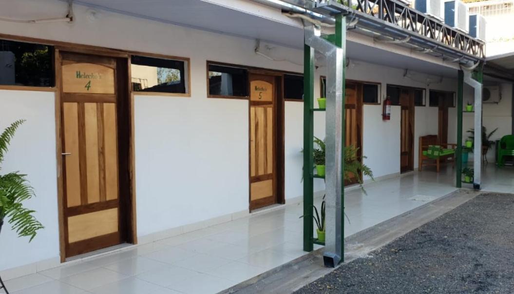 Helecho'S Hostal Pansiyon Encarnación Dış mekan fotoğraf