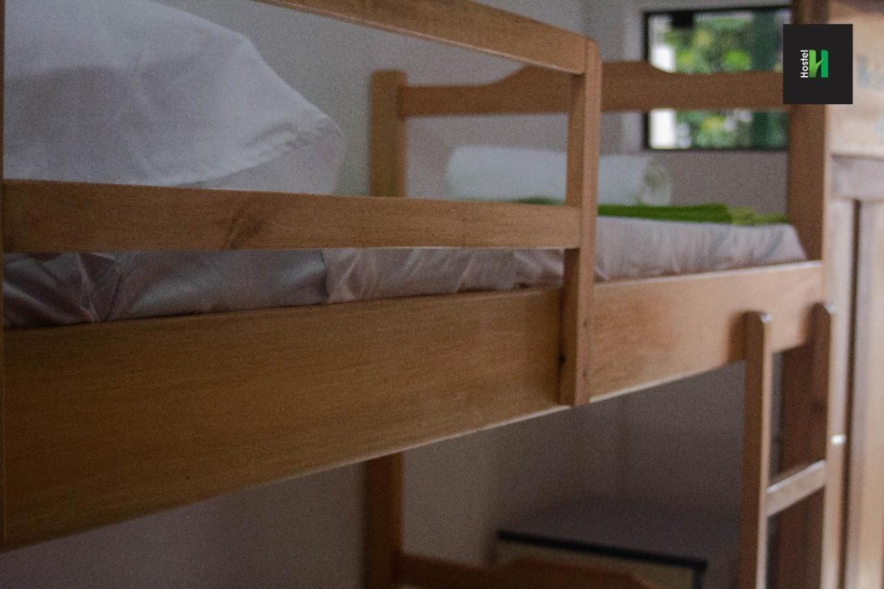 Helecho'S Hostal Pansiyon Encarnación Dış mekan fotoğraf